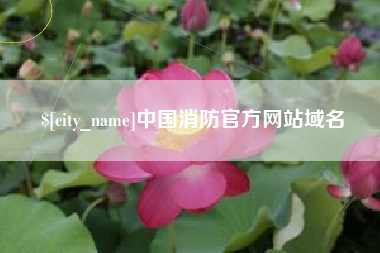 莒县中国消防官方网站域名