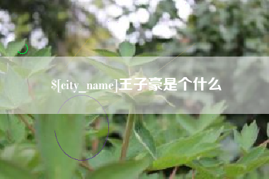 莒县王子豪是个什么