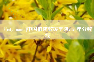 莒县中国消防救援学院2020年分数线
