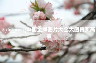 莒县中国金牌图片大全大图真实高清