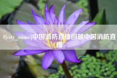 莒县中国消防直播回放中国消防直播
