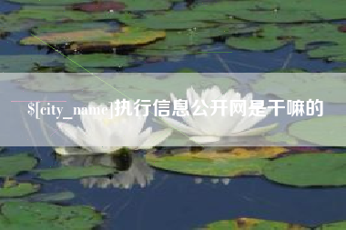 莒县执行信息公开网是干嘛的