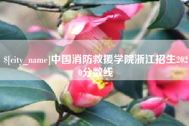 莒县中国消防救援学院浙江招生2020分数线