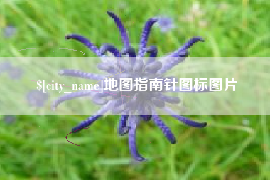 莒县地图指南针图标图片