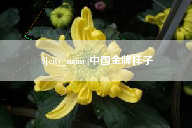 莒县中国金牌样子