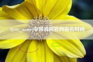 莒县中国消防官网报名时间