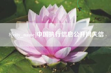 莒县中国执行信息公开网失信