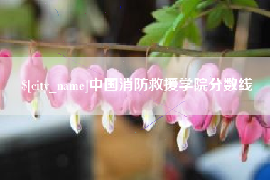 莒县中国消防救援学院分数线