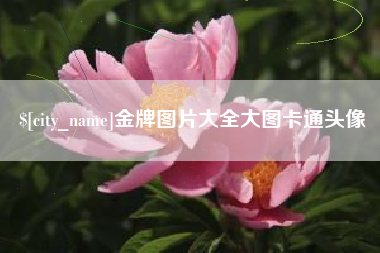 莒县金牌图片大全大图卡通头像