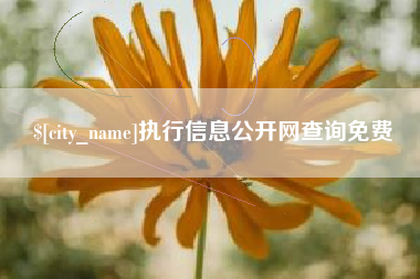莒县执行信息公开网查询免费