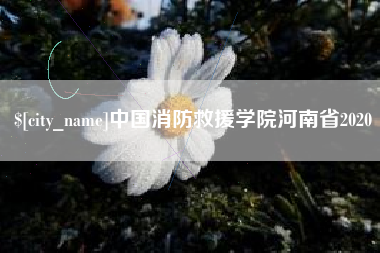 莒县中国消防救援学院河南省2020